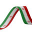 وکتور پرچم ایران